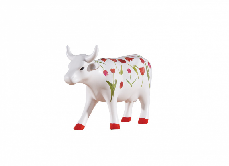 47485_Tulip-Cow-1