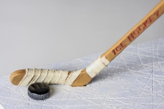 FO85541-The-Ice-Hockey-Player-le-Hockeyeur-sur-Glace-9